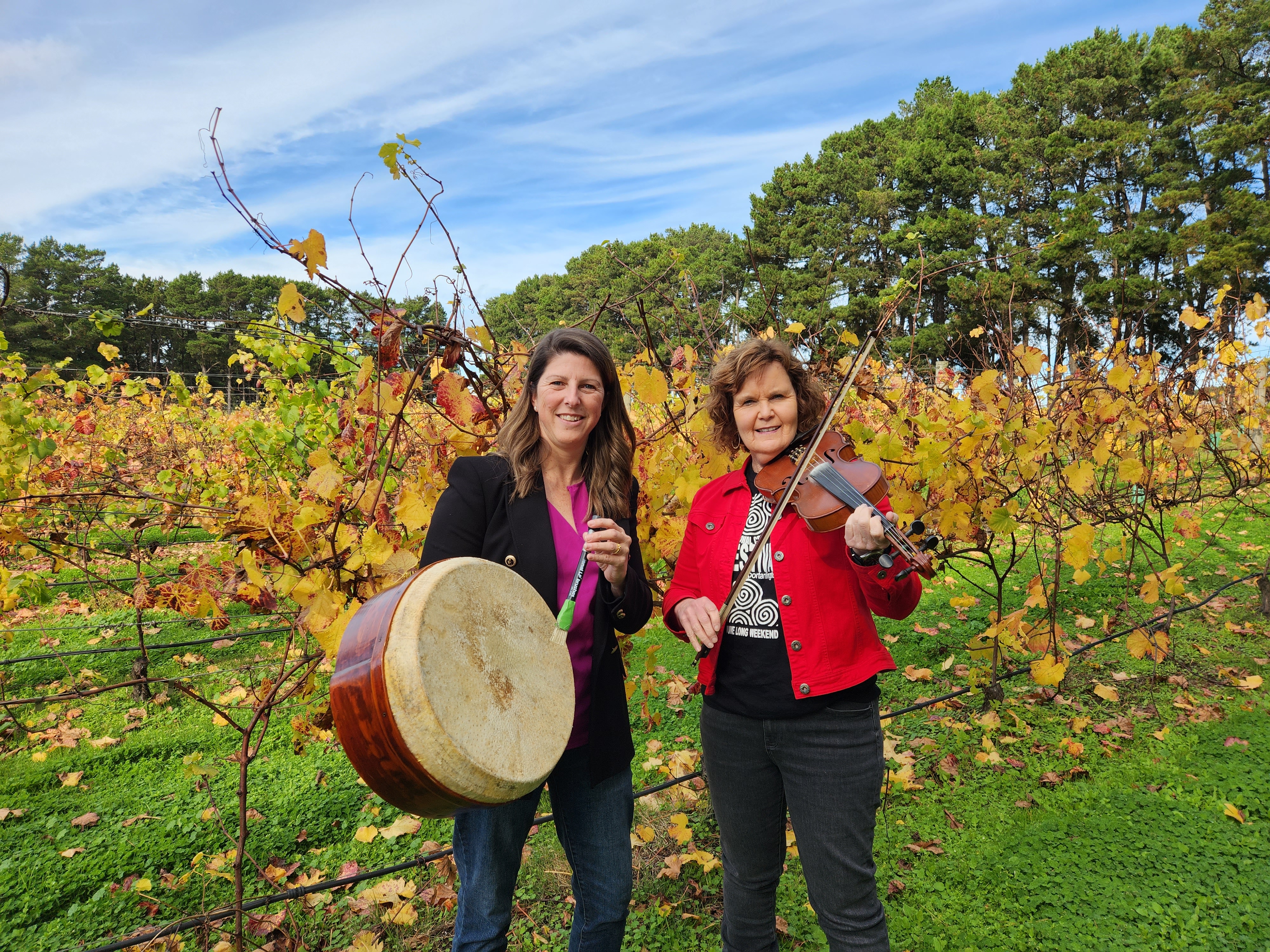 Boost for National Celtic Folk Festival Main Image