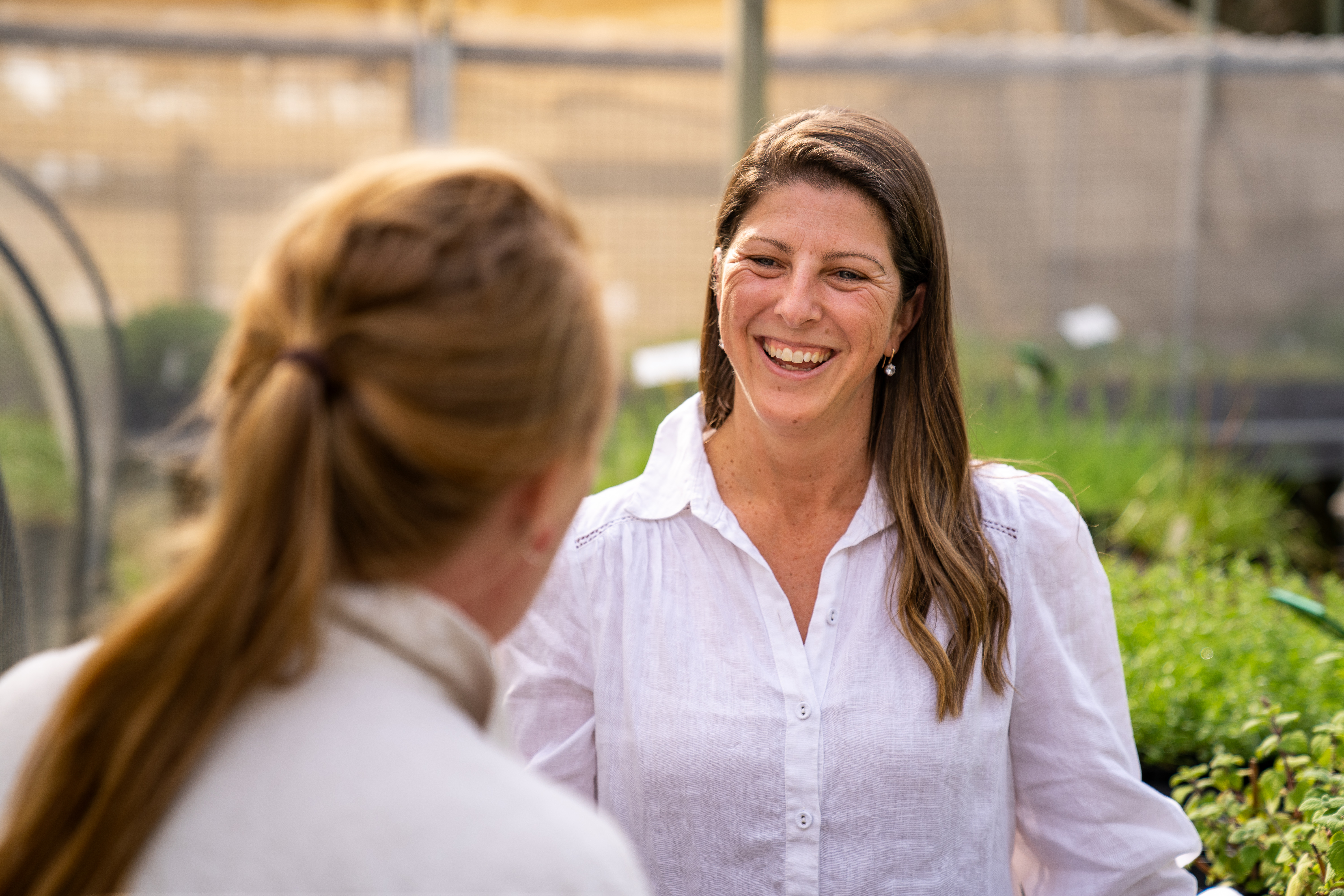 Community Survey Main Image